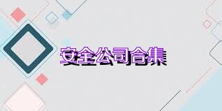 安全公司合集