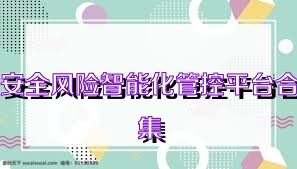 安全风险智能化管控平台合集