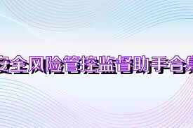 安全风险管控监督助手合集