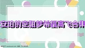 安珀的空姐梦希望高飞合集