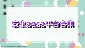 安全saas平台合集
