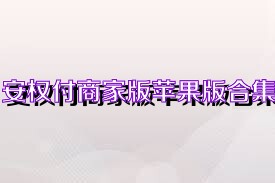 安权付商家版苹果版合集