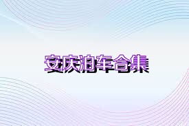 安庆泊车合集