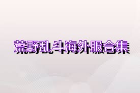 荒野乱斗海外服合集