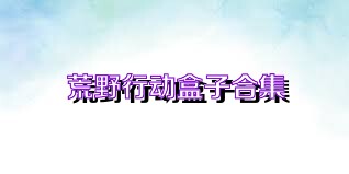 荒野行动盒子合集