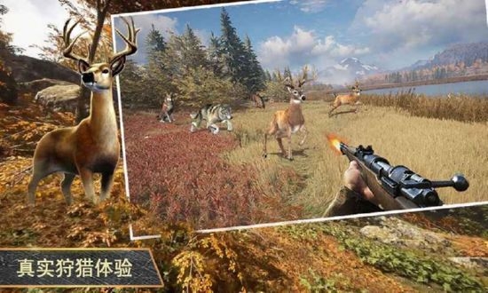 终极猎人3D无限金币2