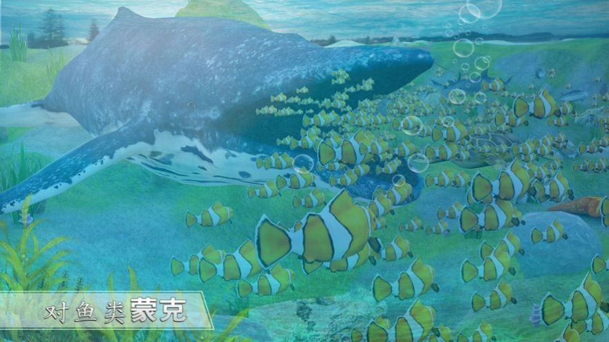 全民养鲸鱼 红包版1