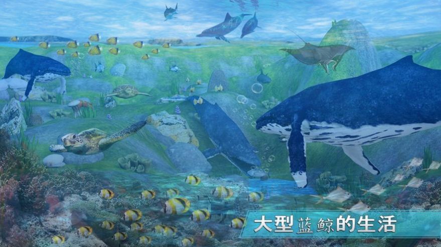 全民养鲸鱼 红包版3