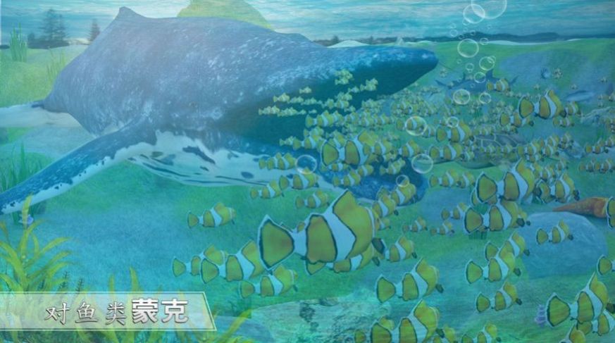 全民养鲲鲲游戏红包福利版1