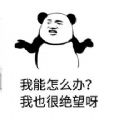 李荣浩要我怎么办呵呵哈哈表情包完整无水印高清版