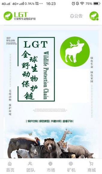 LGT币挖矿软件1