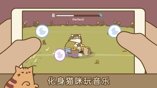 音乐猫咪3