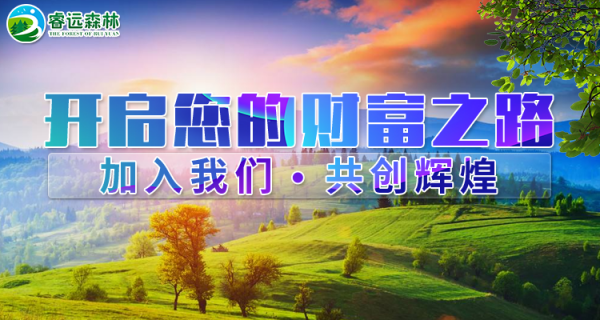 睿远森林app2