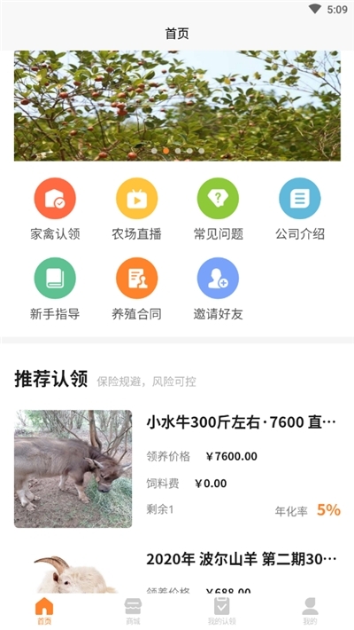 春牧牧业云养殖app靠谱版3