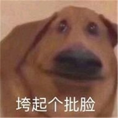 垮起个批脸表情包图片完整版免费分享1