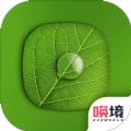 完美1滴水红包版