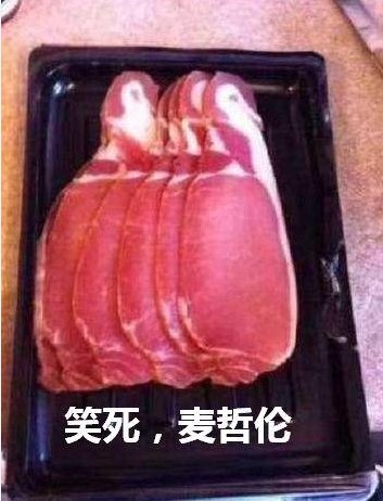笑死企鹅肉麦哲伦原图图片无水印免费分享1