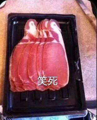 笑死企鹅肉麦哲伦原图图片无水印免费分享3
