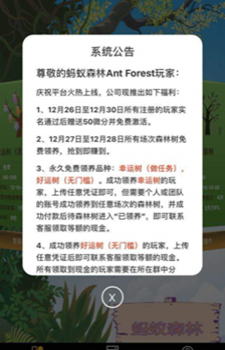 蚂蚁森林自动收能量1