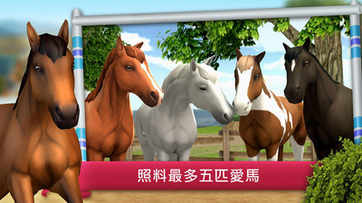 骑马越障模拟赛2