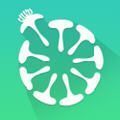 天府新青年登录平台app