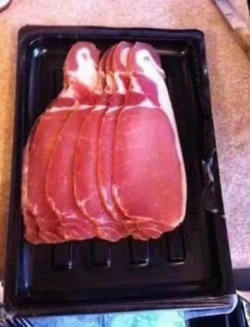 笑死企鹅肉表情包3