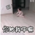 黄夏温微信拍一拍碰瓷表情包gif动图无水印完整版