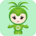 椰子转