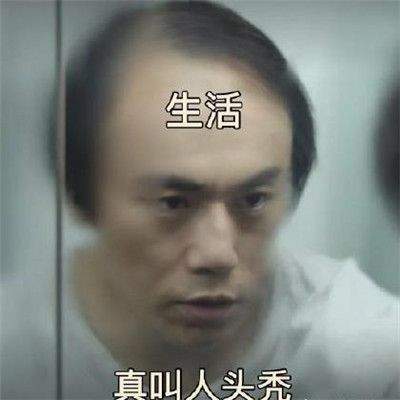 隐蔽的角落秦昊秃顶恶搞套路表情包2