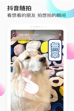 抖音定力大挑战游戏手机版2
