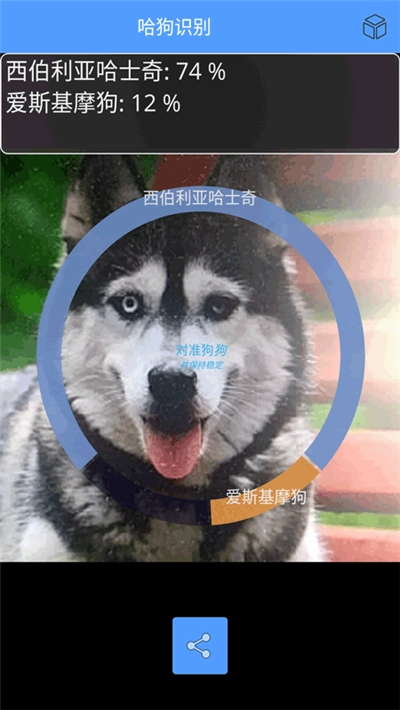 哈狗识别1