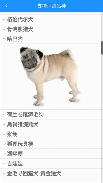 哈狗识别3
