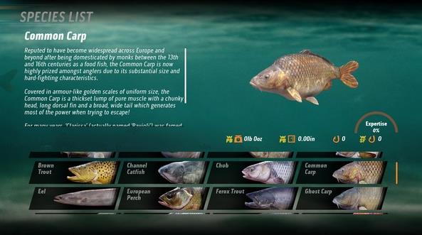 The Catch Carp Coarse手机版3
