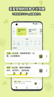 flaget app1