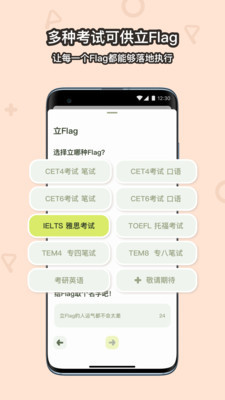flaget app3