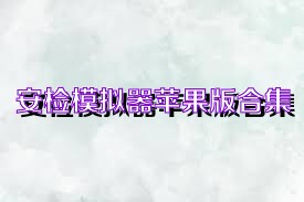 安检模拟器苹果版合集