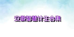 安徽智慧计生合集