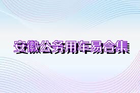 安徽公务用车易合集