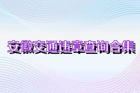安徽交通违章查询合集