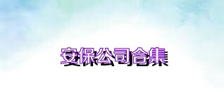 安保公司合集