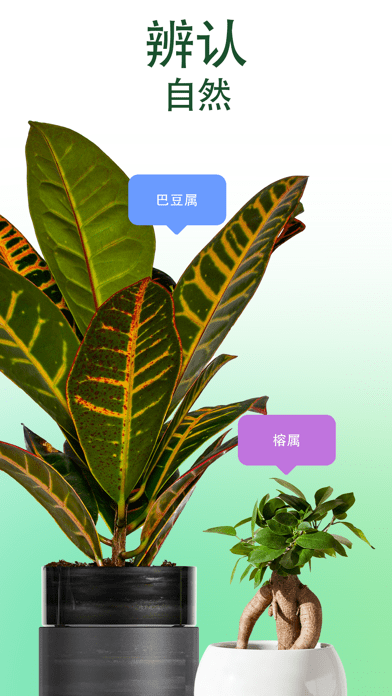 爱自然id苹果版最新1