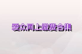 爱众网上缴费合集