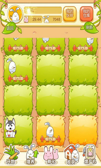 吉祥兔app4