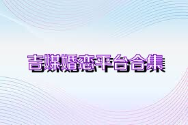 吉媒婚恋平台合集