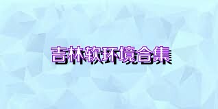 吉林软环境合集
