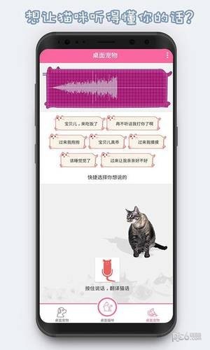 激萌猫咪桌面宠物软件3