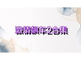 激情飙车2合集