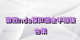 激烈nds模拟器金手指版合集
