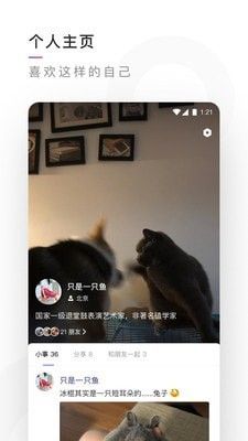 幻星辰官方20241