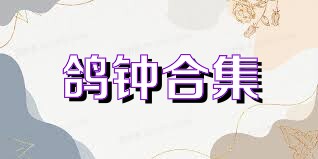鸽钟合集